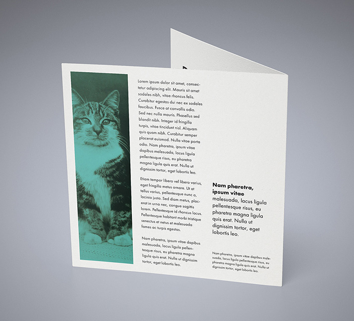 Double square leaflet mockup