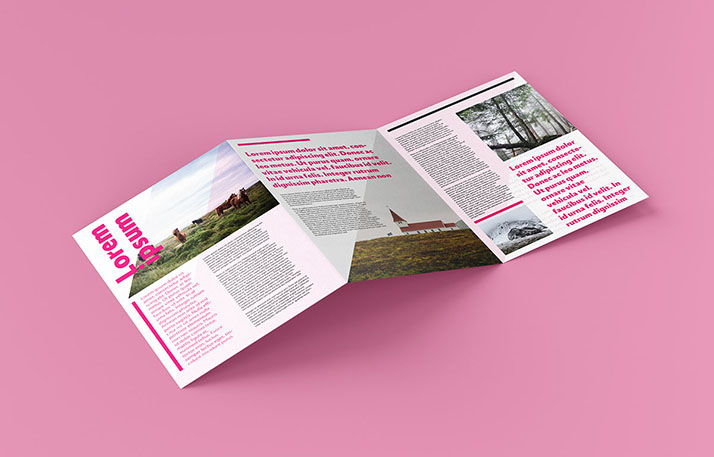 Free trifold leaflet mockup