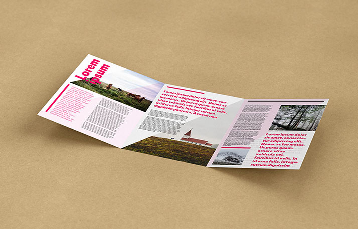 Free trifold leaflet mockup