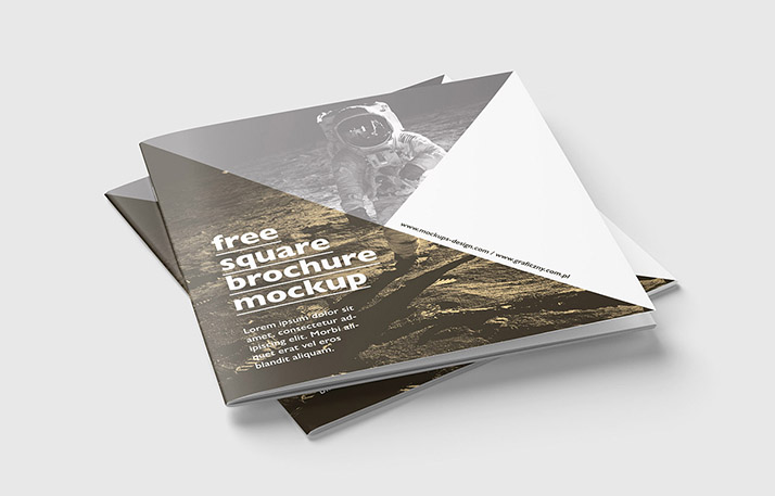 indesign white and color black image in make Mockups  Free Mockups  Premium  mockup Design  Square brochure