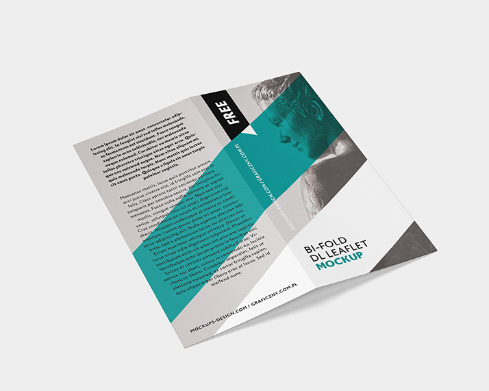 Bi-fold DL leaflet mockup