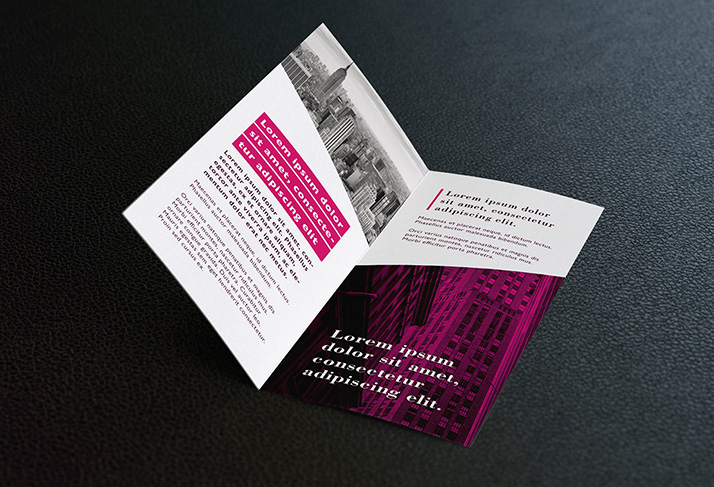 Free bi fold DL leaflet mockup