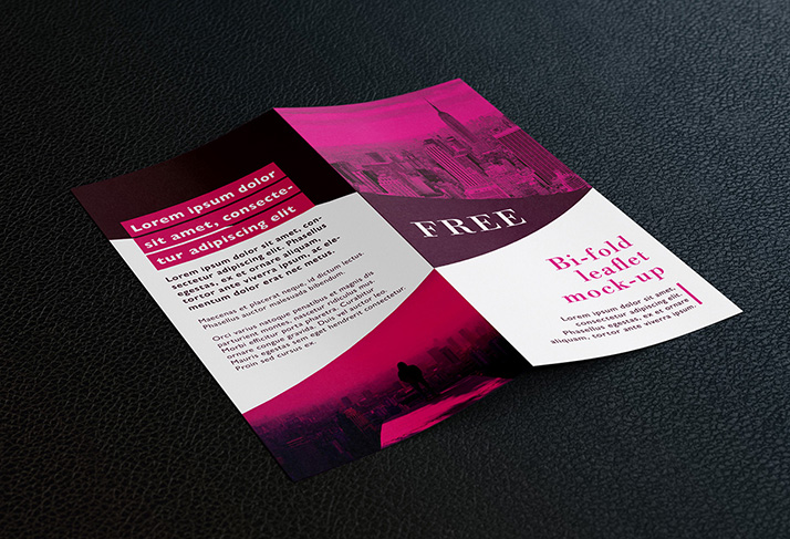 Free bi fold DL leaflet mockup