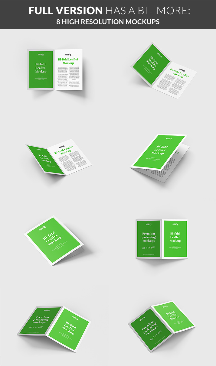 Bi Fold Leaflet mockup