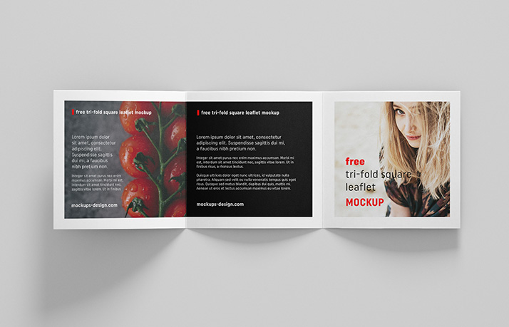 Free square trifold leaflet mockup