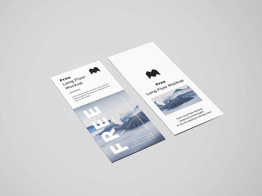 Free long flyer mockup