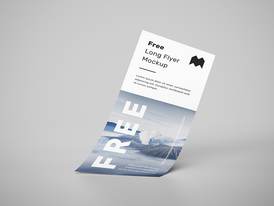 Free long flyer mockup