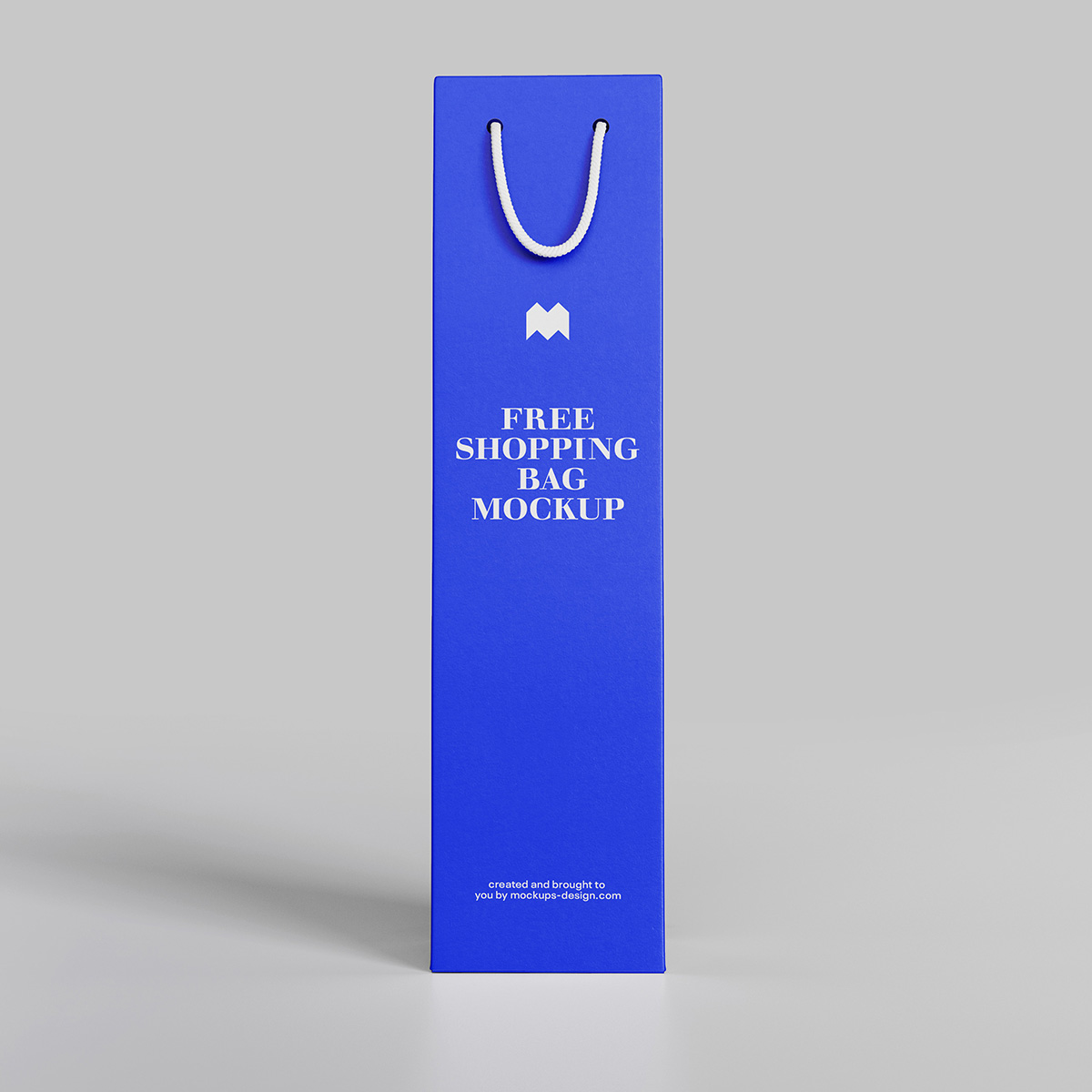 Big Paper Bag D 01 Mockup