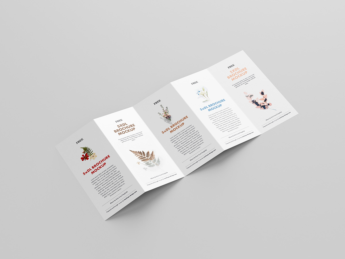 Free 5xDL leaflet mockup