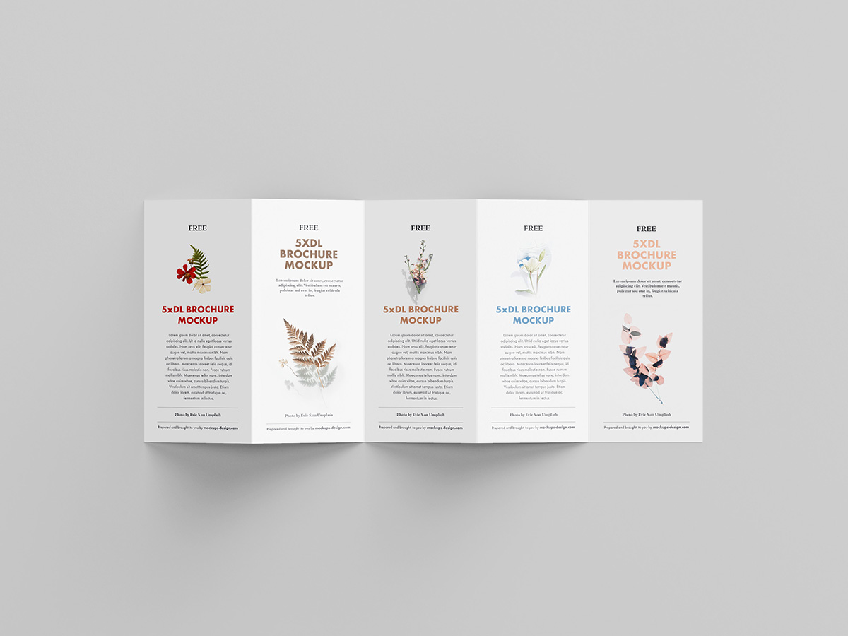 Free 5xDL leaflet mockup