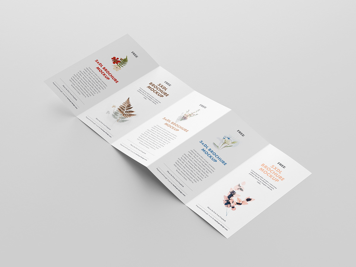 Free 5xDL leaflet mockup