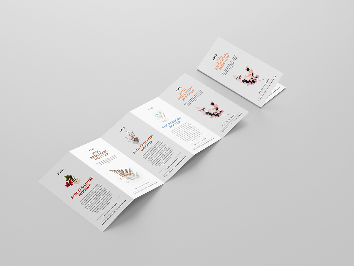 Free 5xDL leaflet mockup