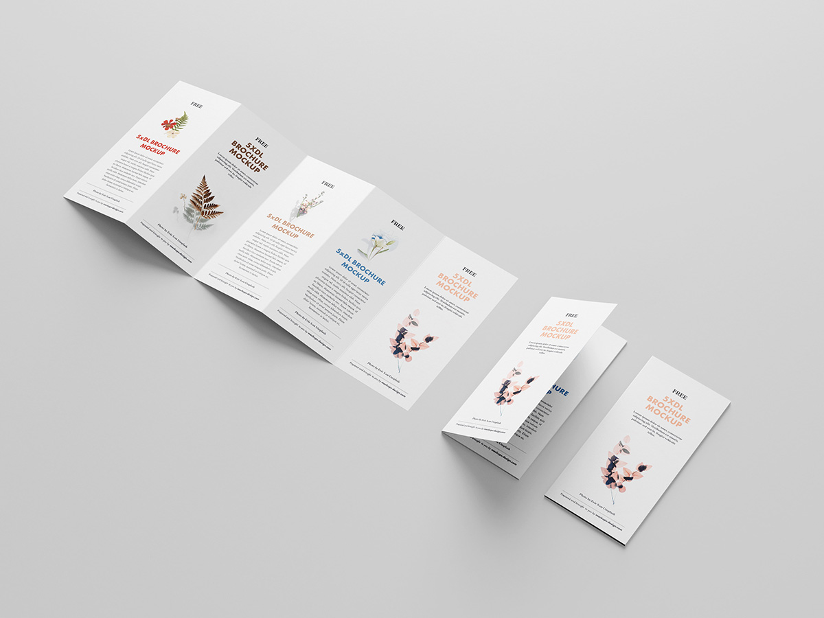 Free 5xDL leaflet mockup