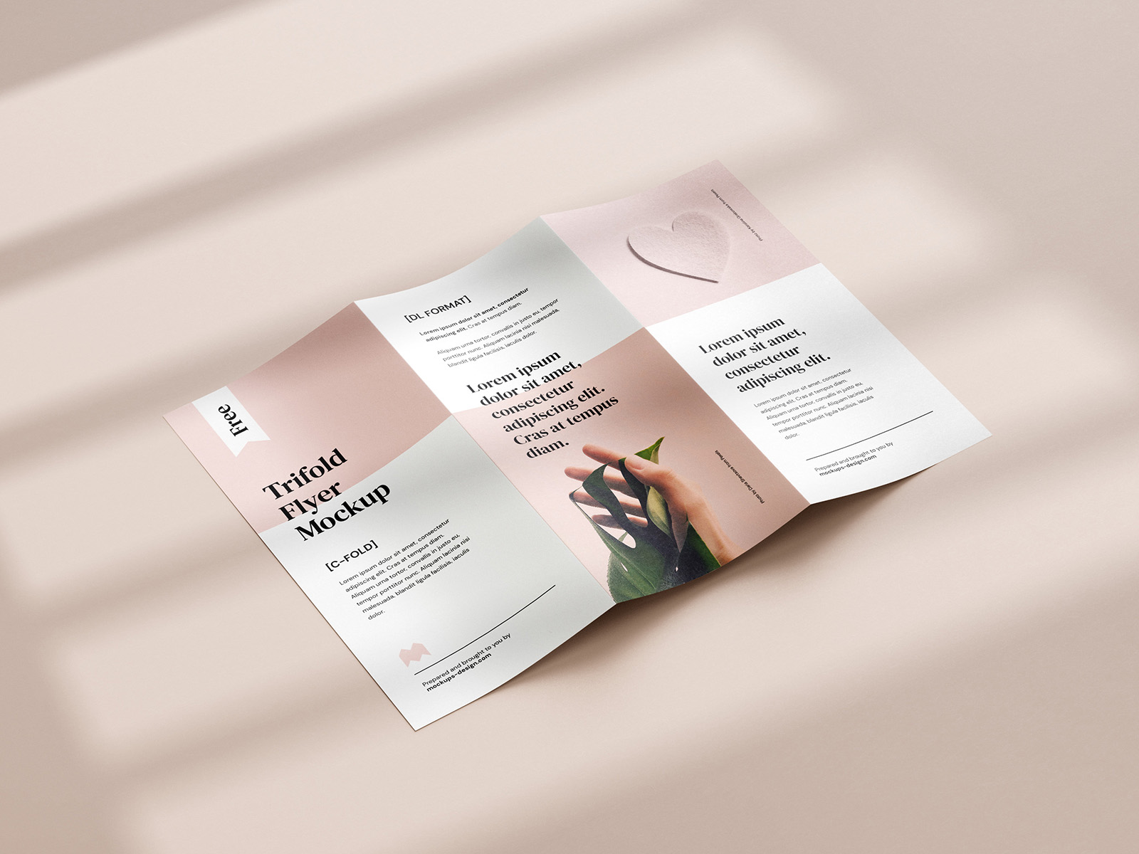 Free tri-fold DL flyer mockup