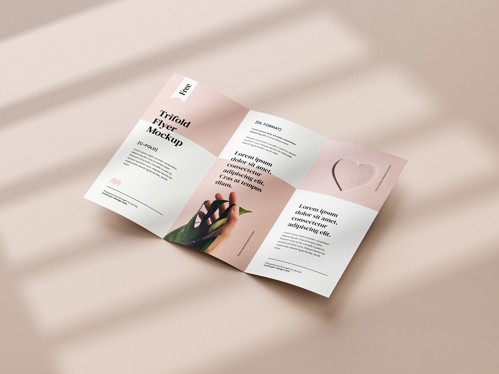 Free tri-fold DL flyer mockup