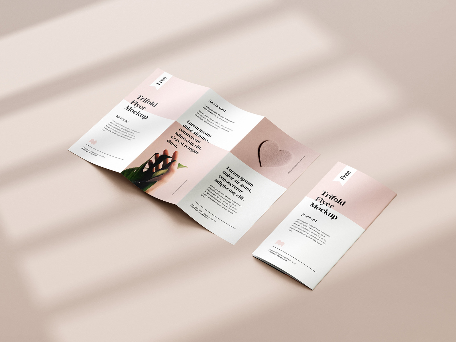 Free tri-fold DL flyer mockup