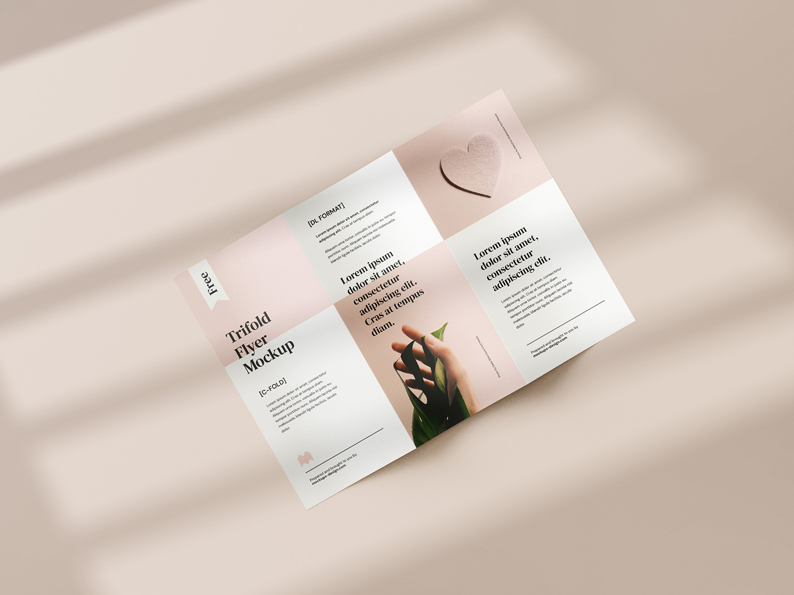 Free tri-fold DL flyer mockup