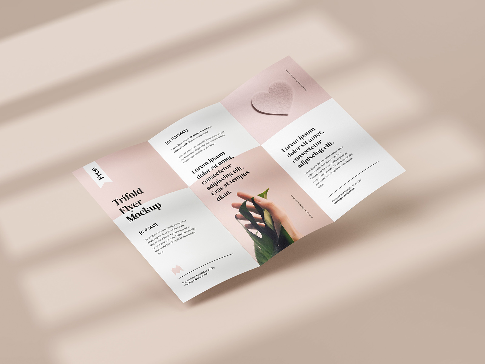 Free tri-fold DL flyer mockup