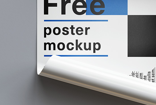 Free rolled poster mockup