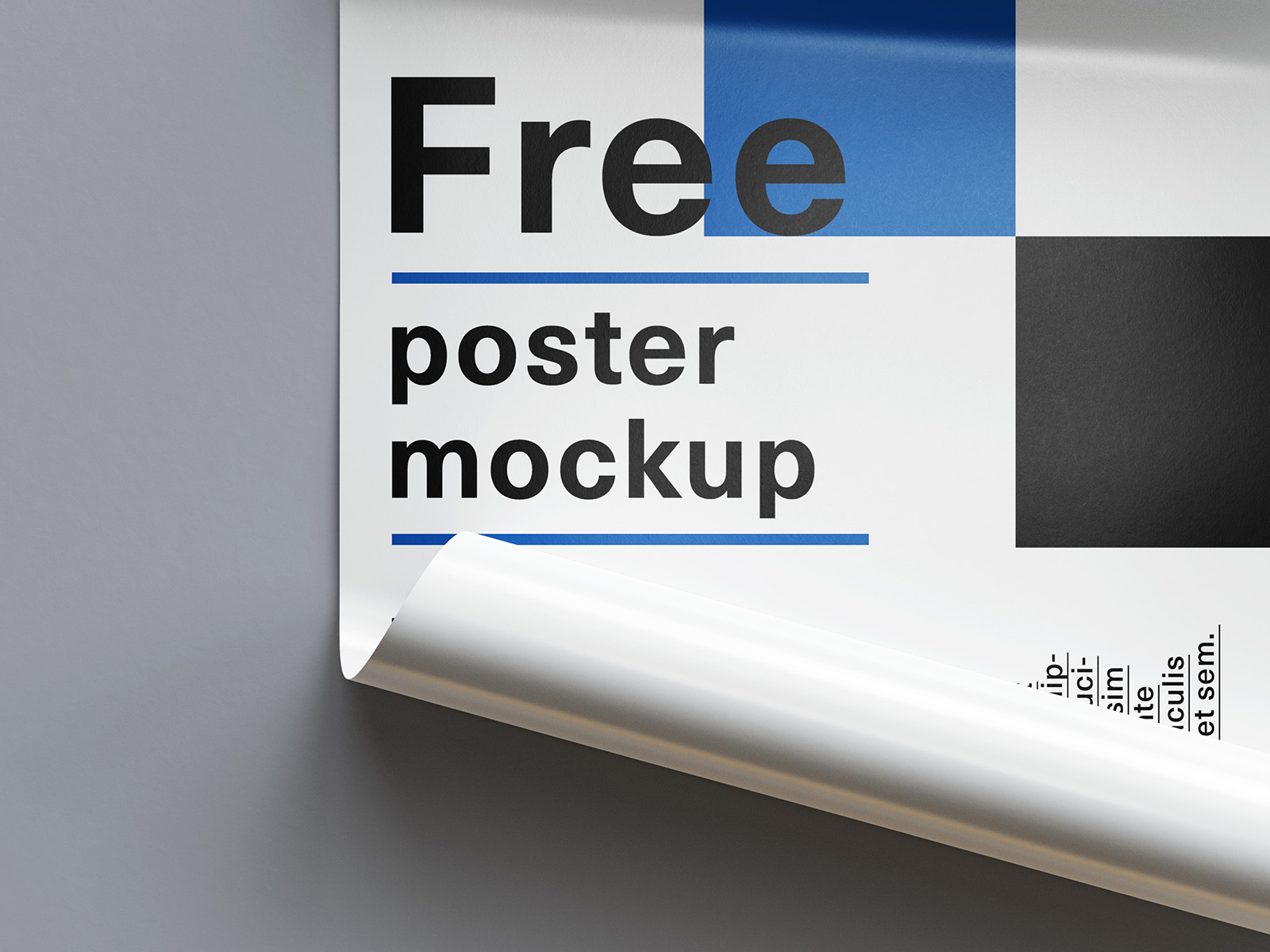 Free rolled poster mockup - Mockups Design