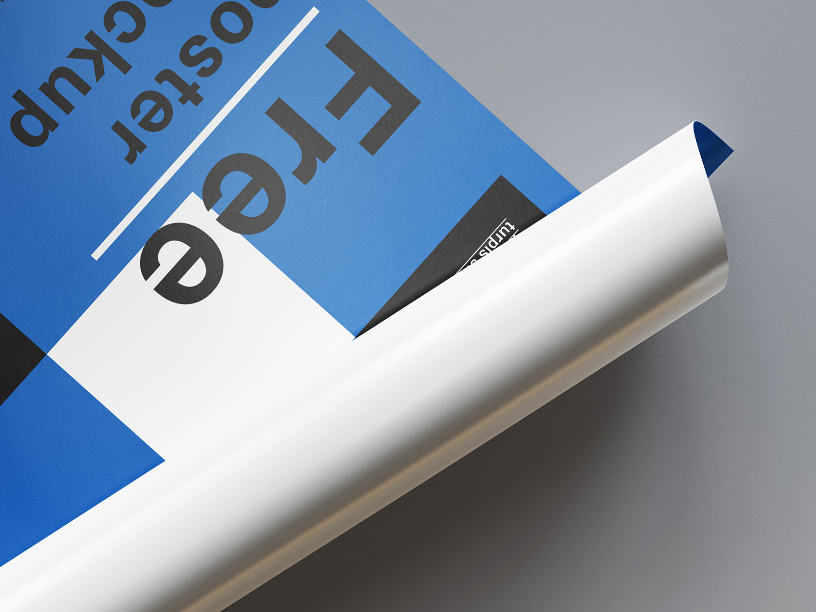 Free rolled poster mockup - Mockups Design