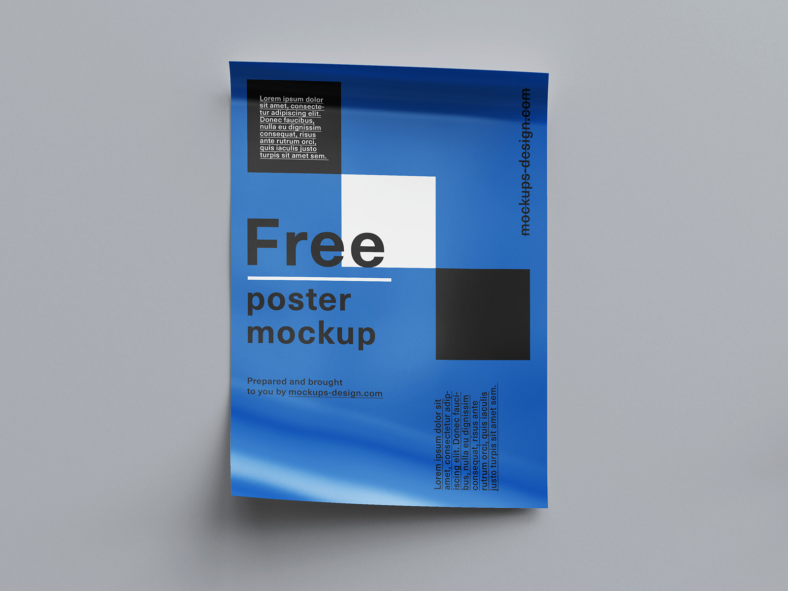 Free rolled poster mockup