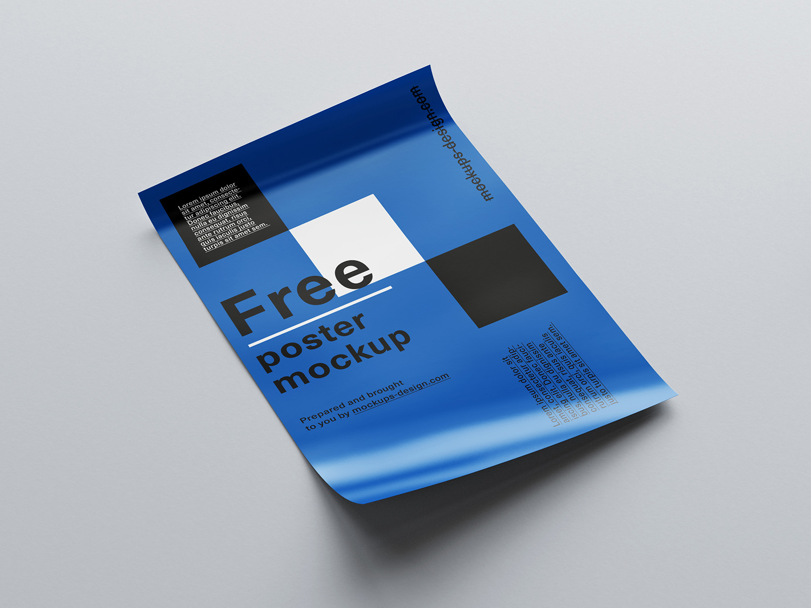 Free rolled poster mockup - Mockups Design