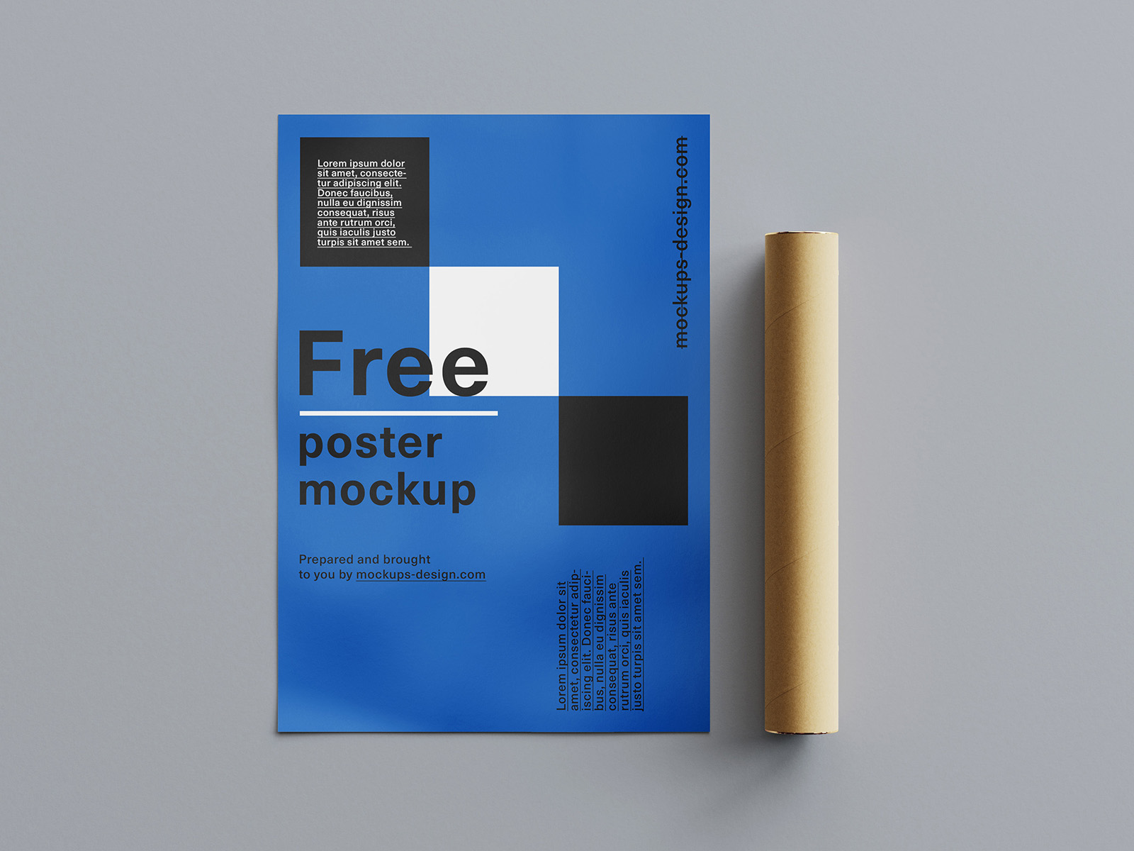 Free rolled poster mockup