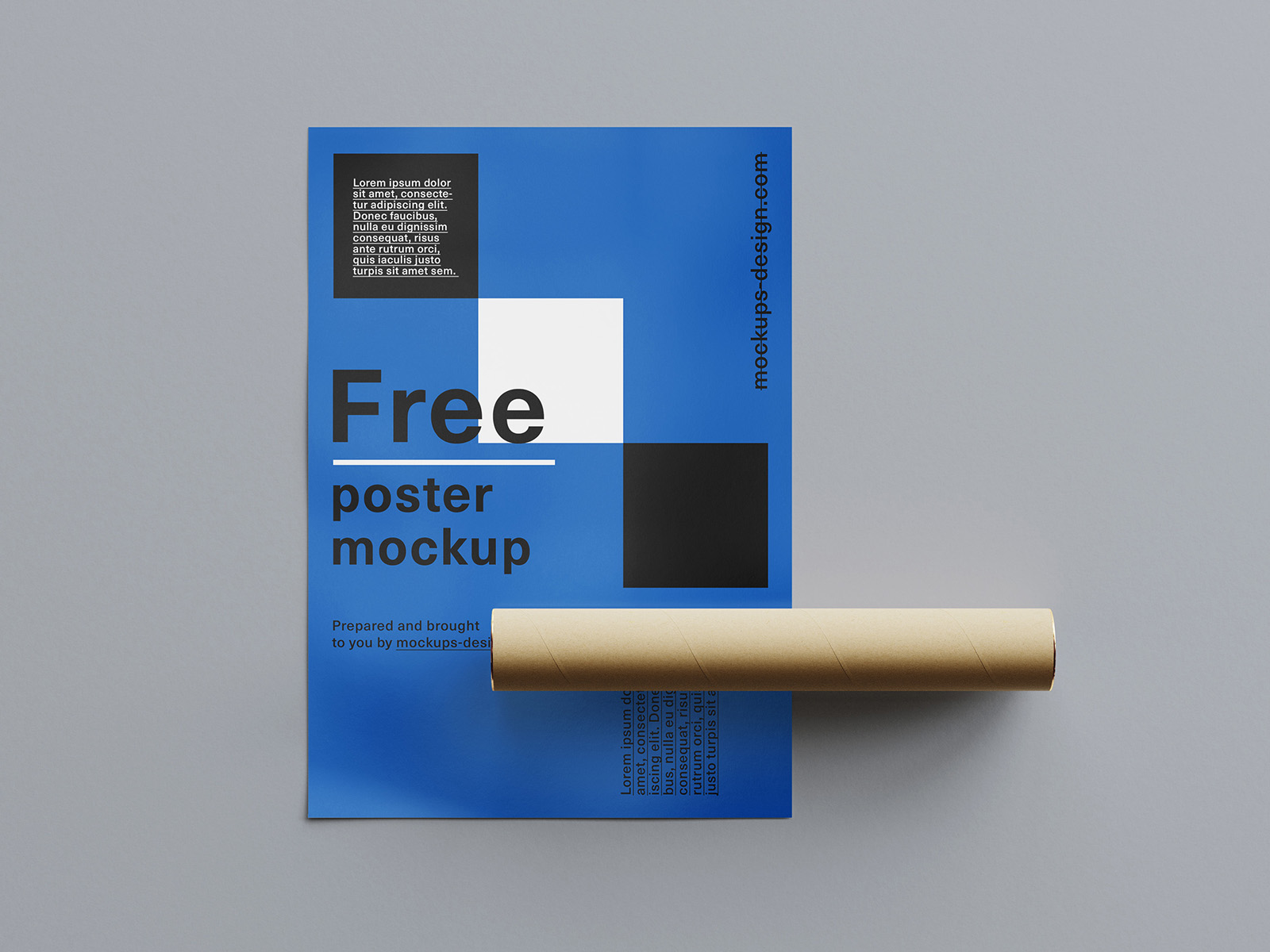 Free rolled poster mockup