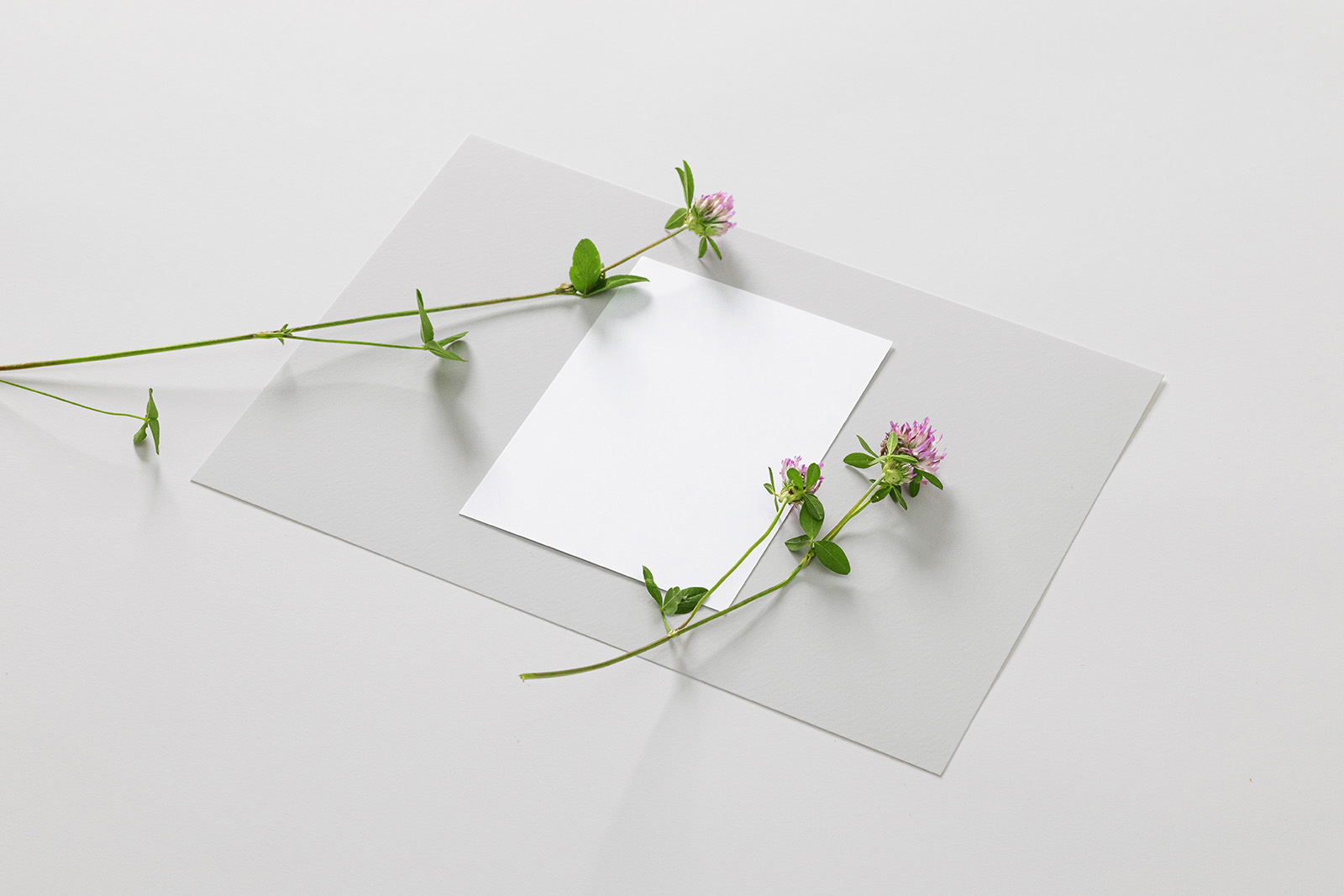 A6 flyer with flowers mockup