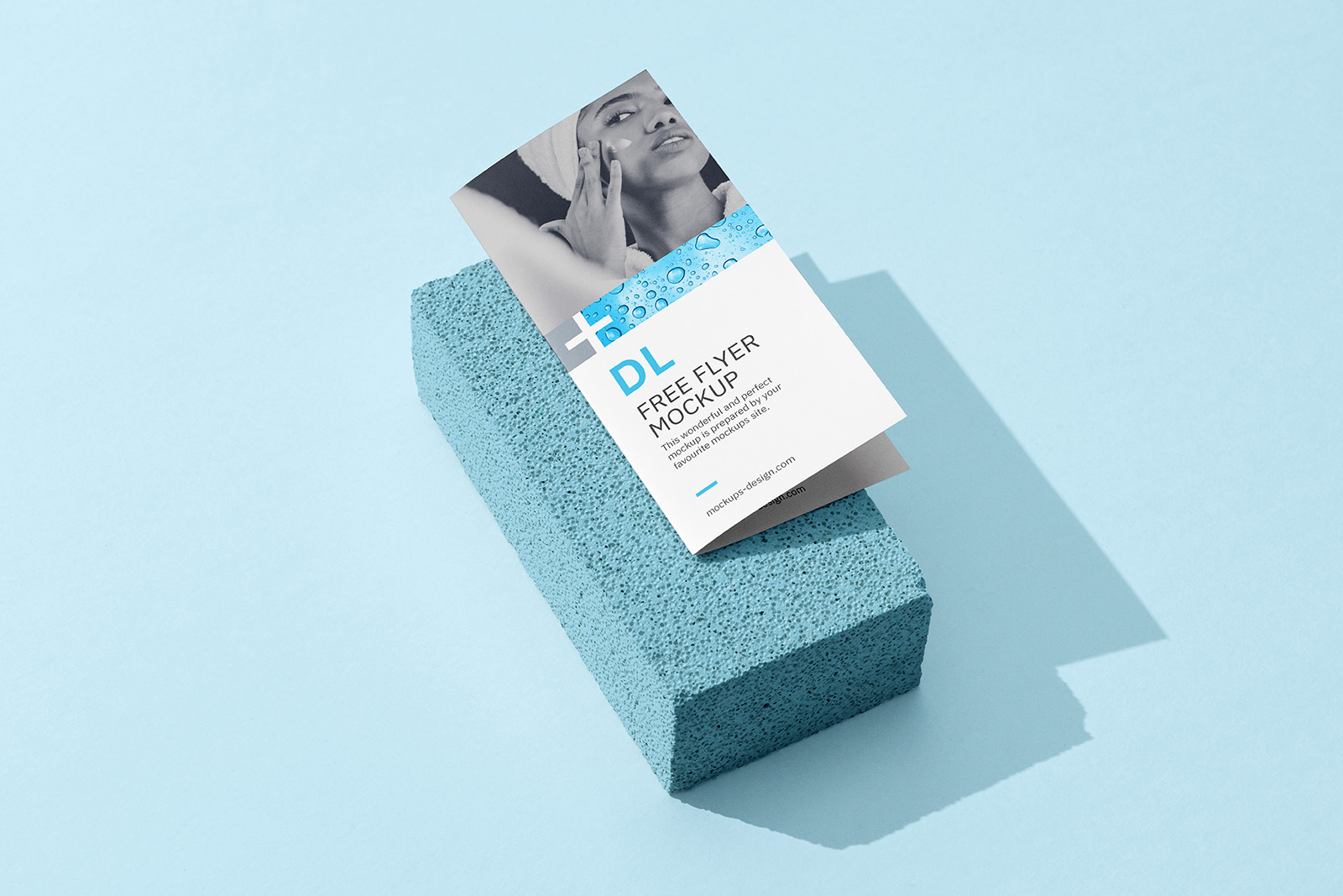 Bi fold DL flyer on a stone mockup