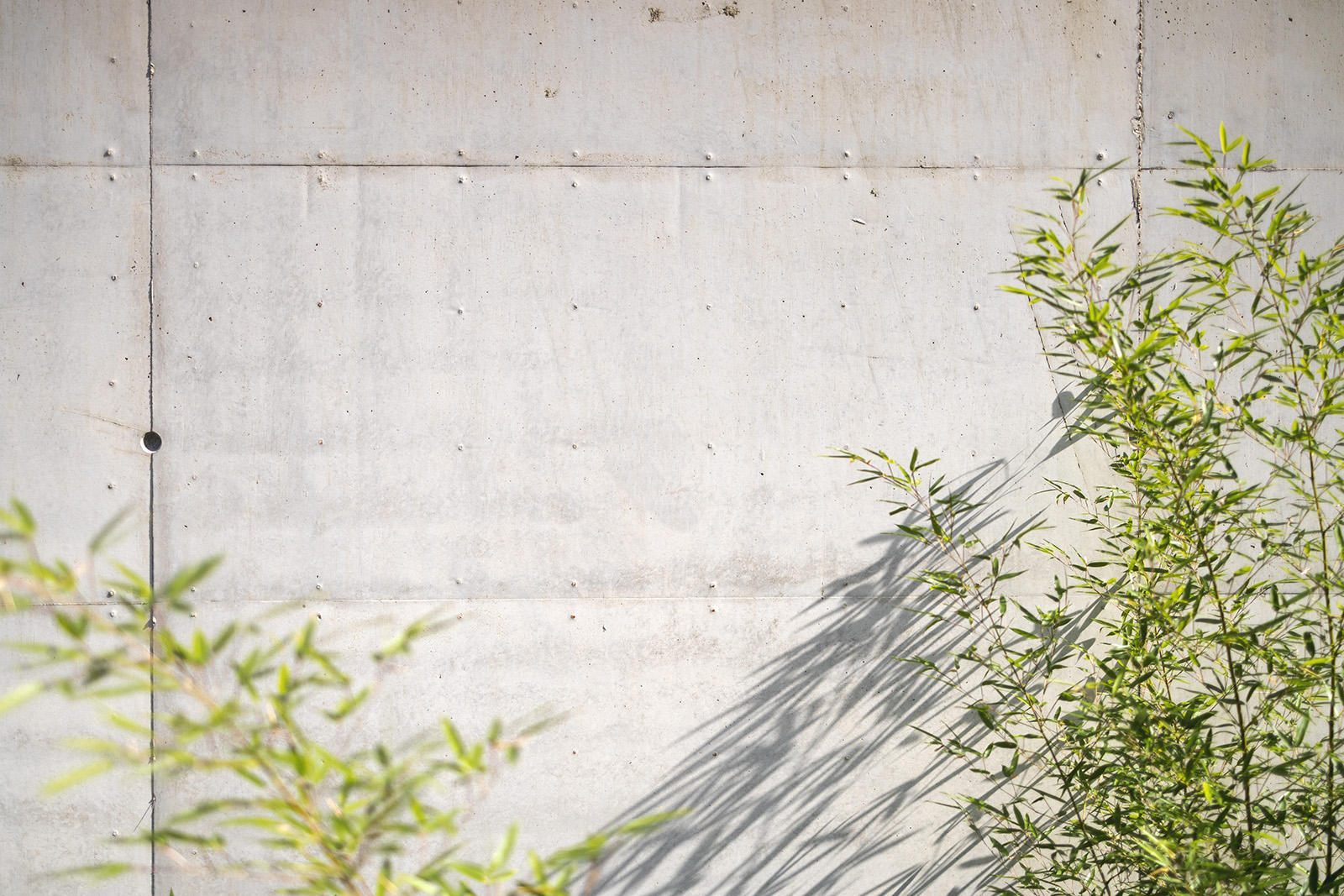 Poster on concrete wall mockup