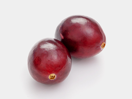 Free cranberries image