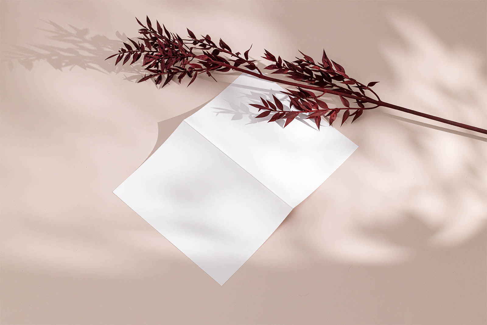 Bi fold flyer with dried leafs mockup