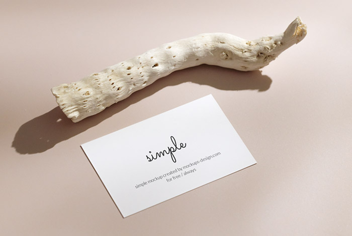 Business card with dried plant mockup