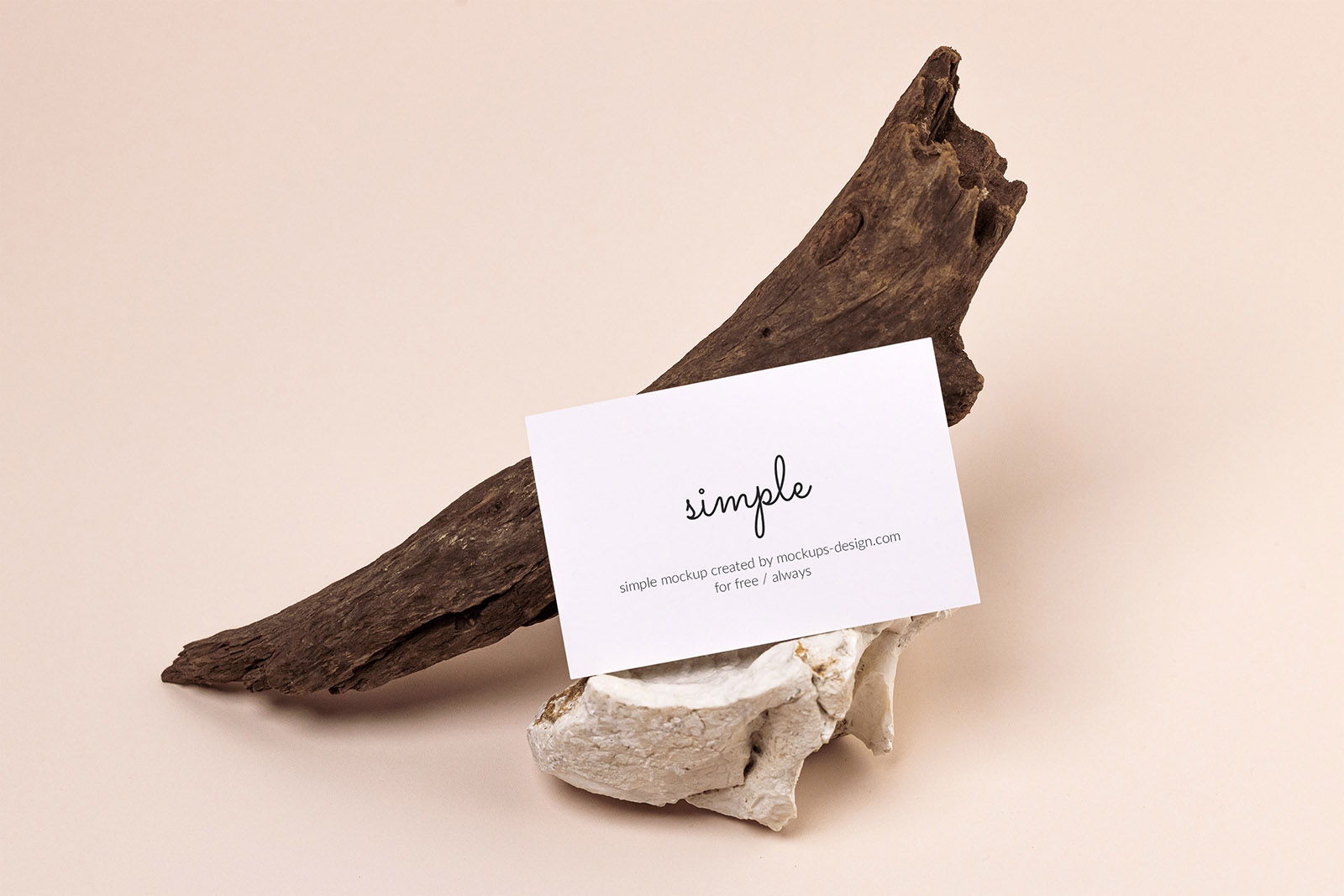 Business card with dried wood mockup