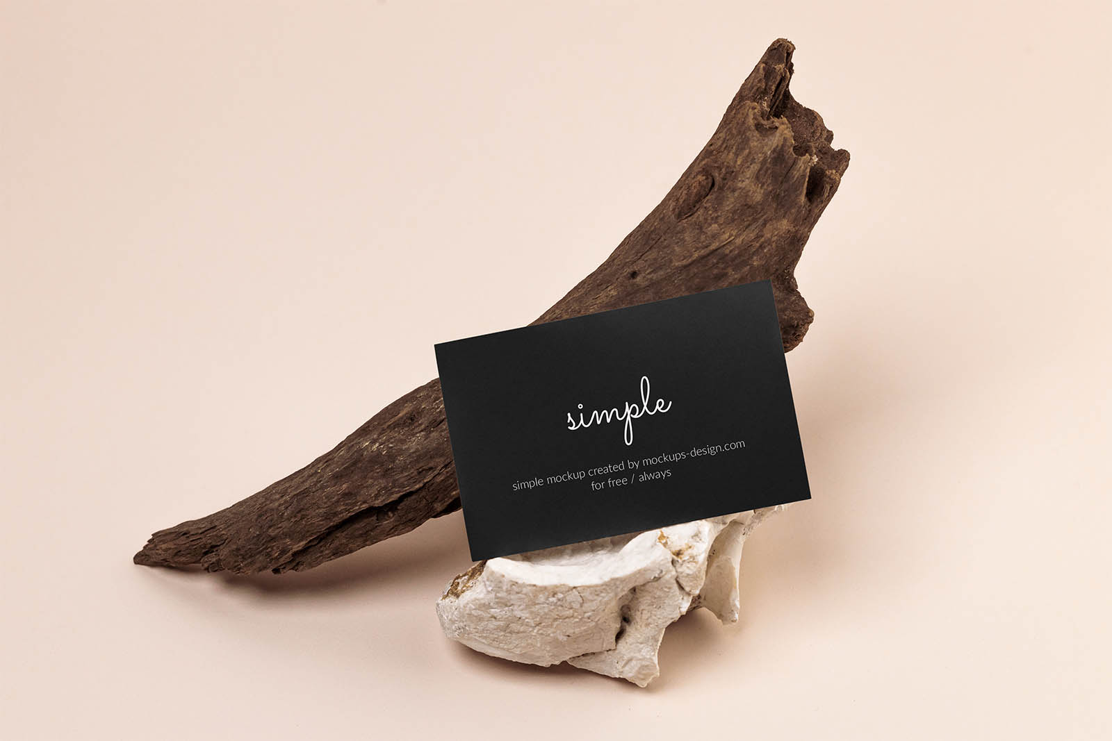 Business card with dried wood mockup