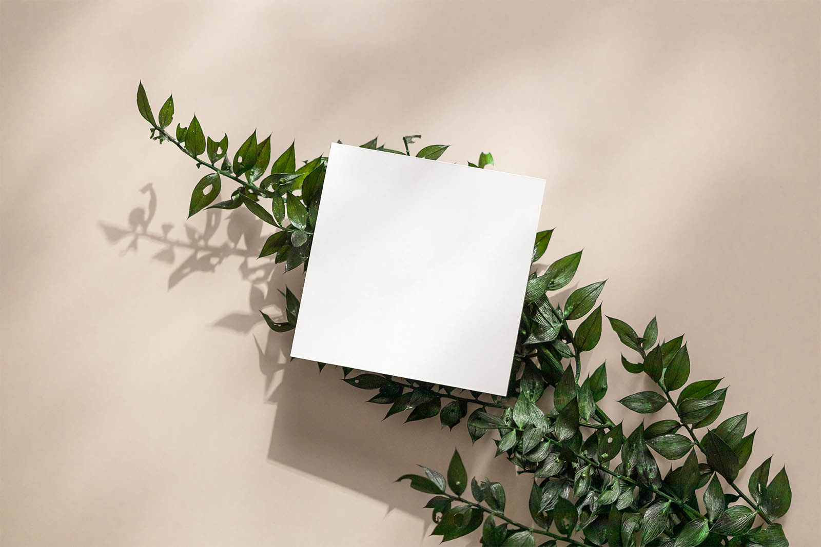 Square flyer on green leafs mockup