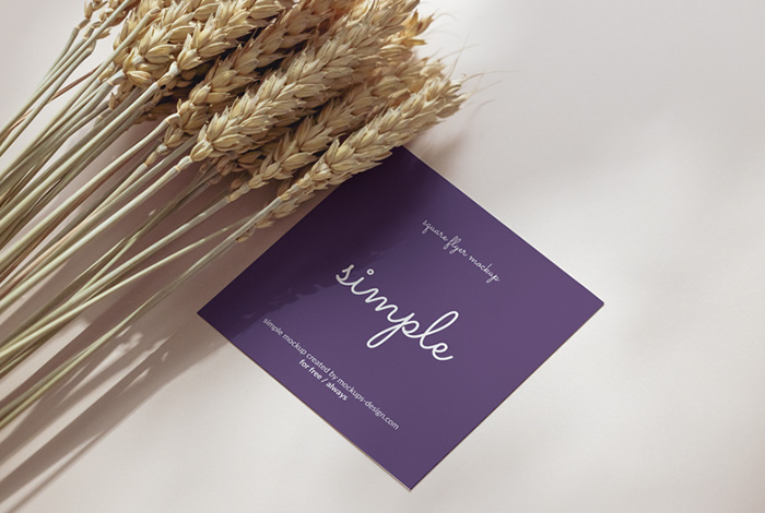 Square flyer with dried wheat mockup