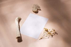 Free A6 flyer with dried plants mockup - Mockups Design