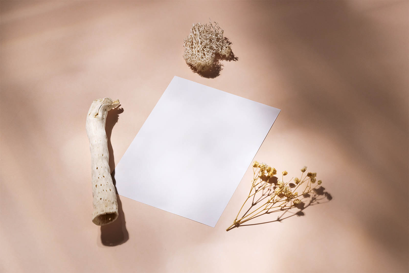 A6 flyer with dried plants mockup