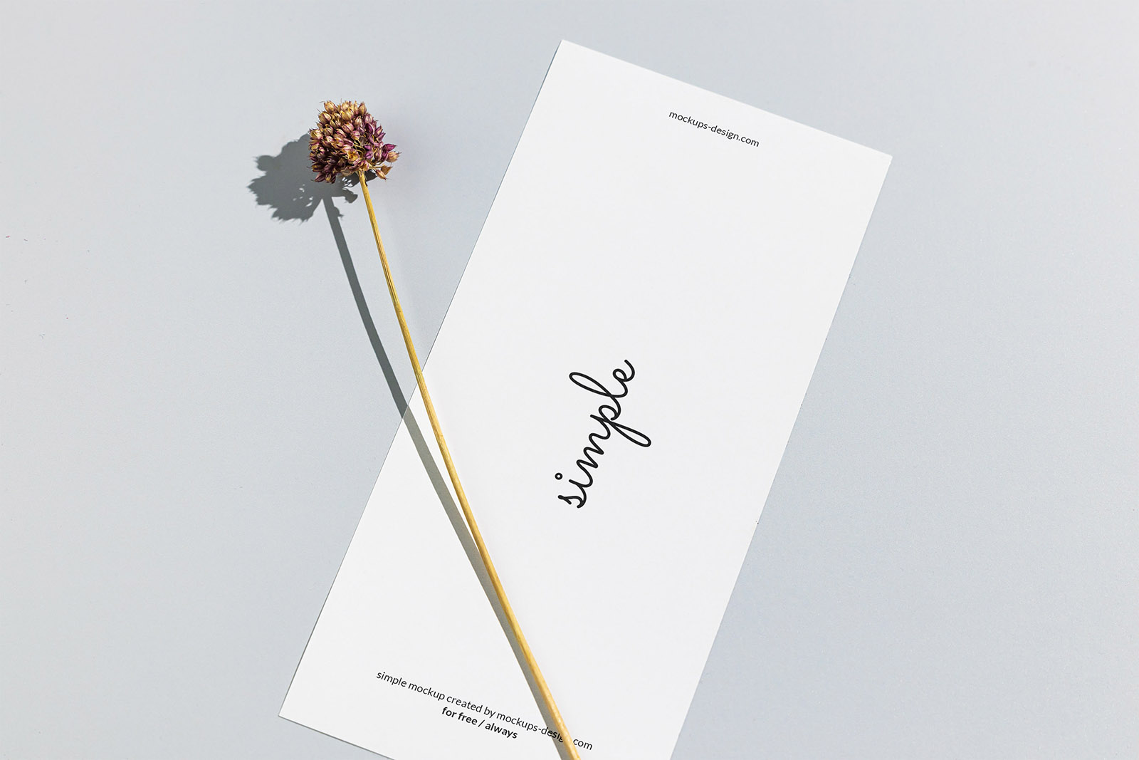 DL flyer with dried flower mockup