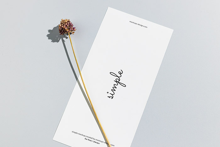 Download Free DL flyer with dried flower mockup