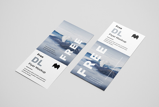 Download Free Free simple DL flyers mockup