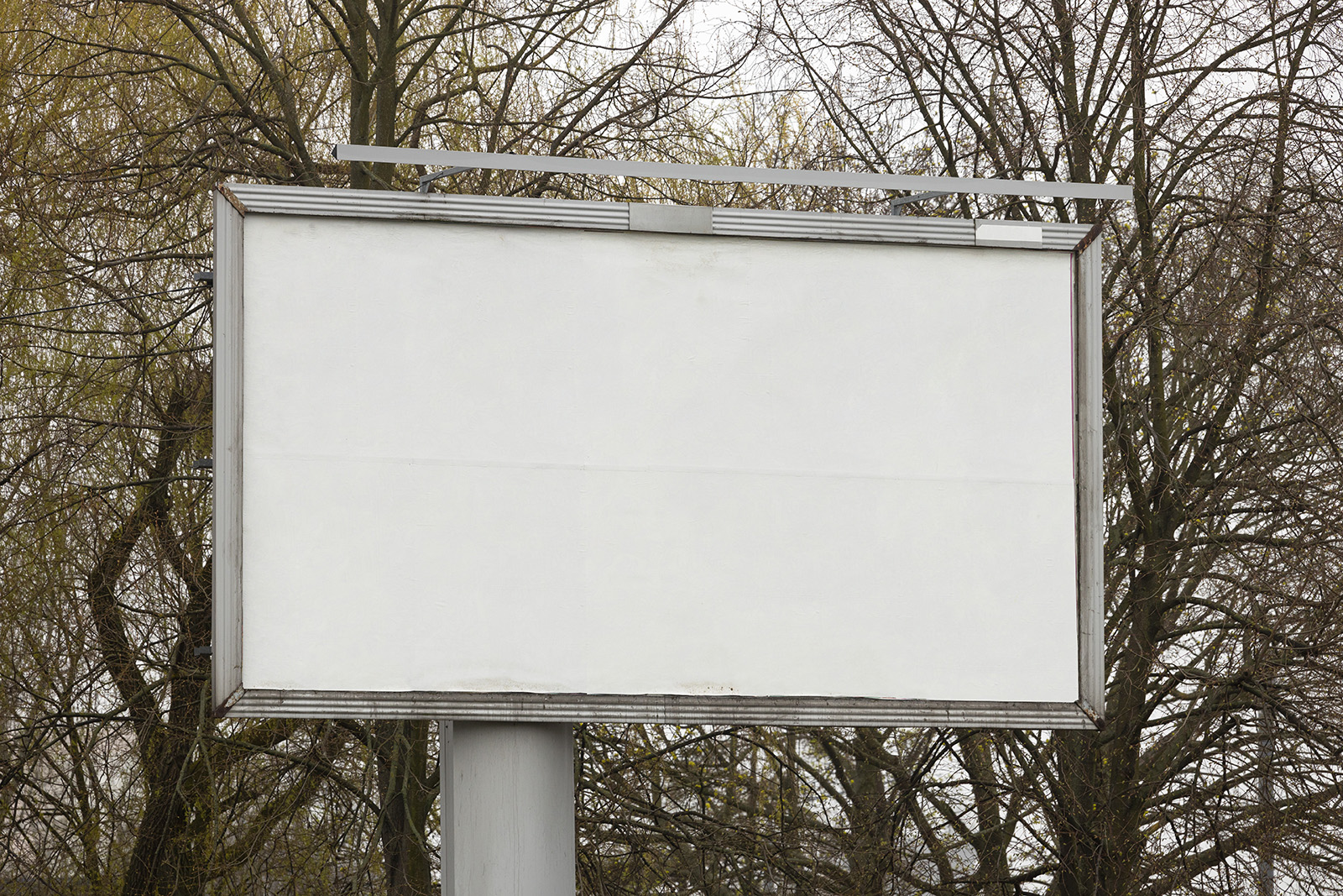 Early spring billboard mockup