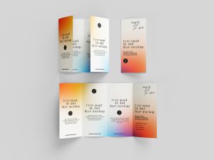 Free DL quad fold flyer mockup - Mockups Design