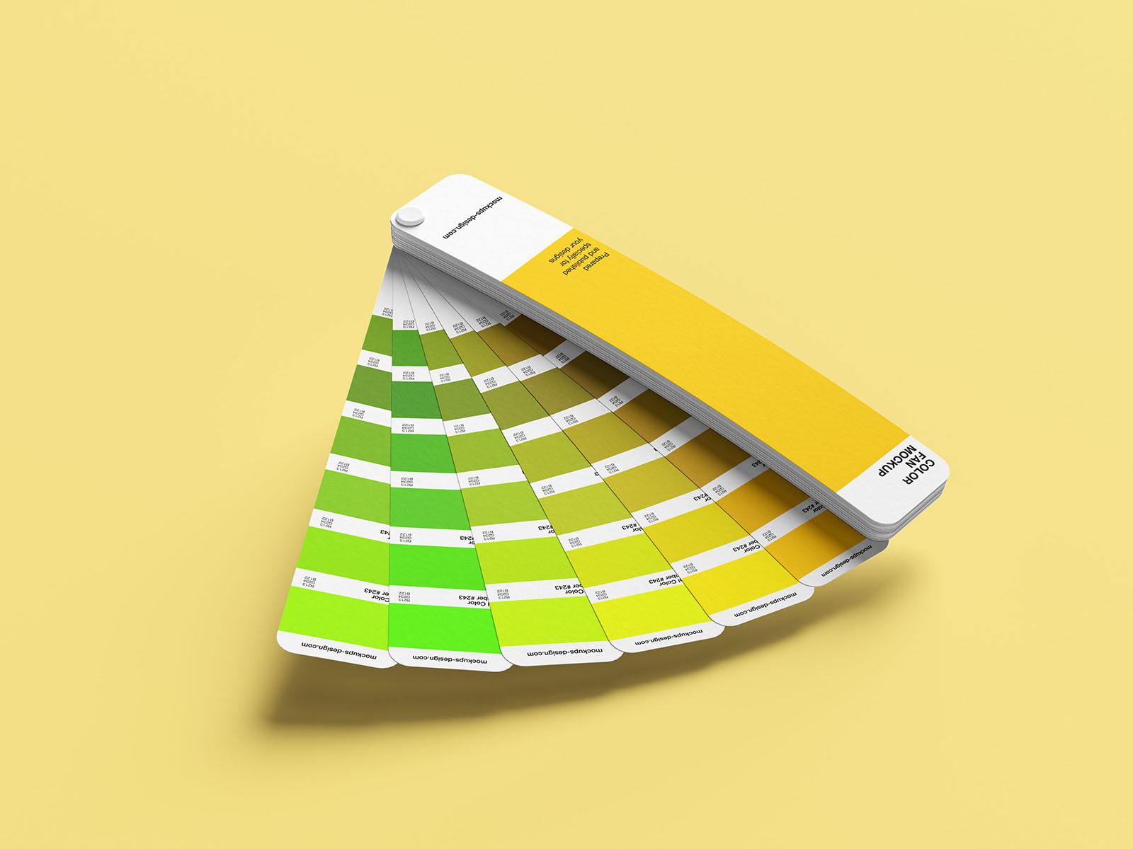 Color fan mockup