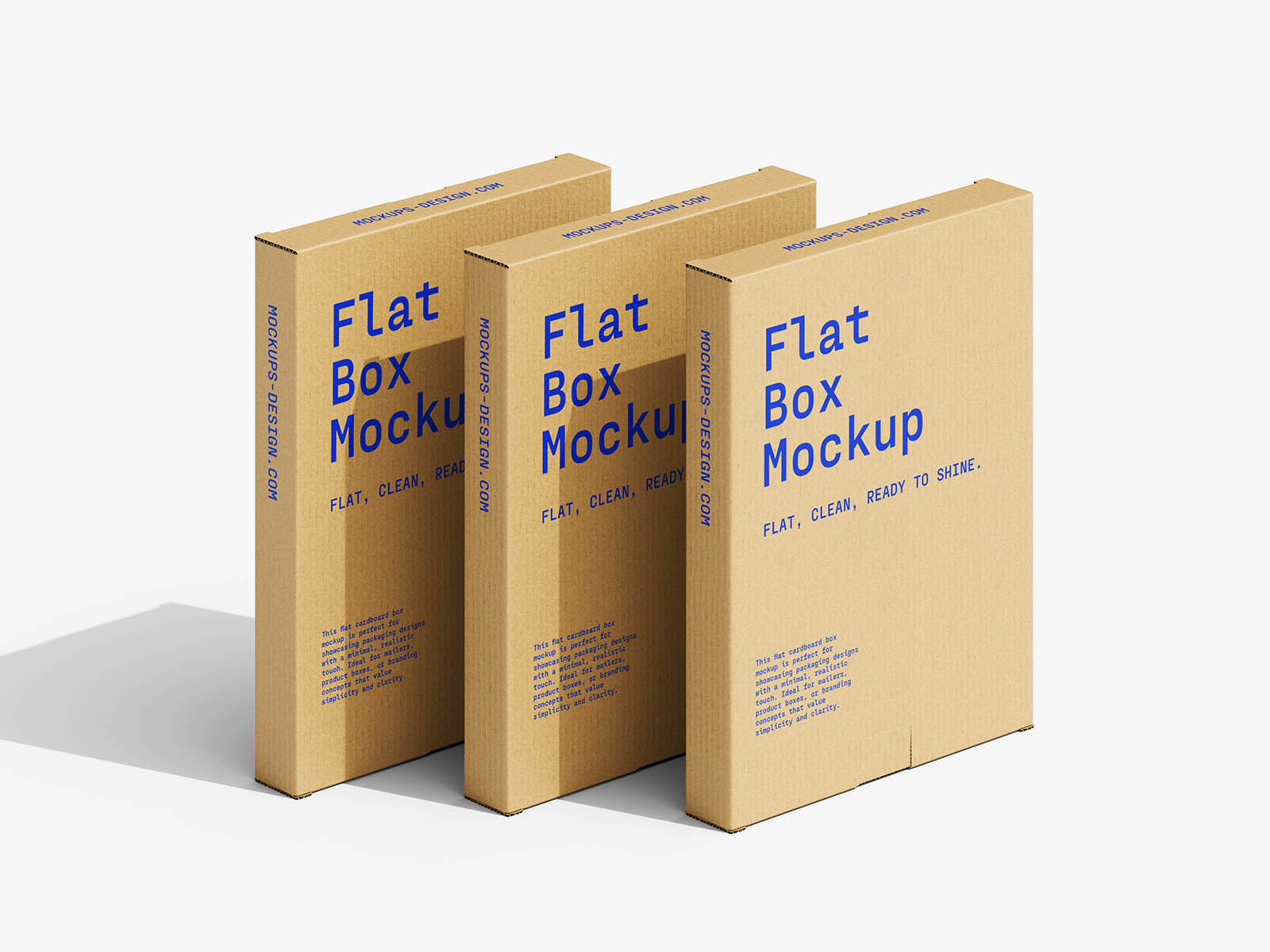 Flat cardboard box mockup