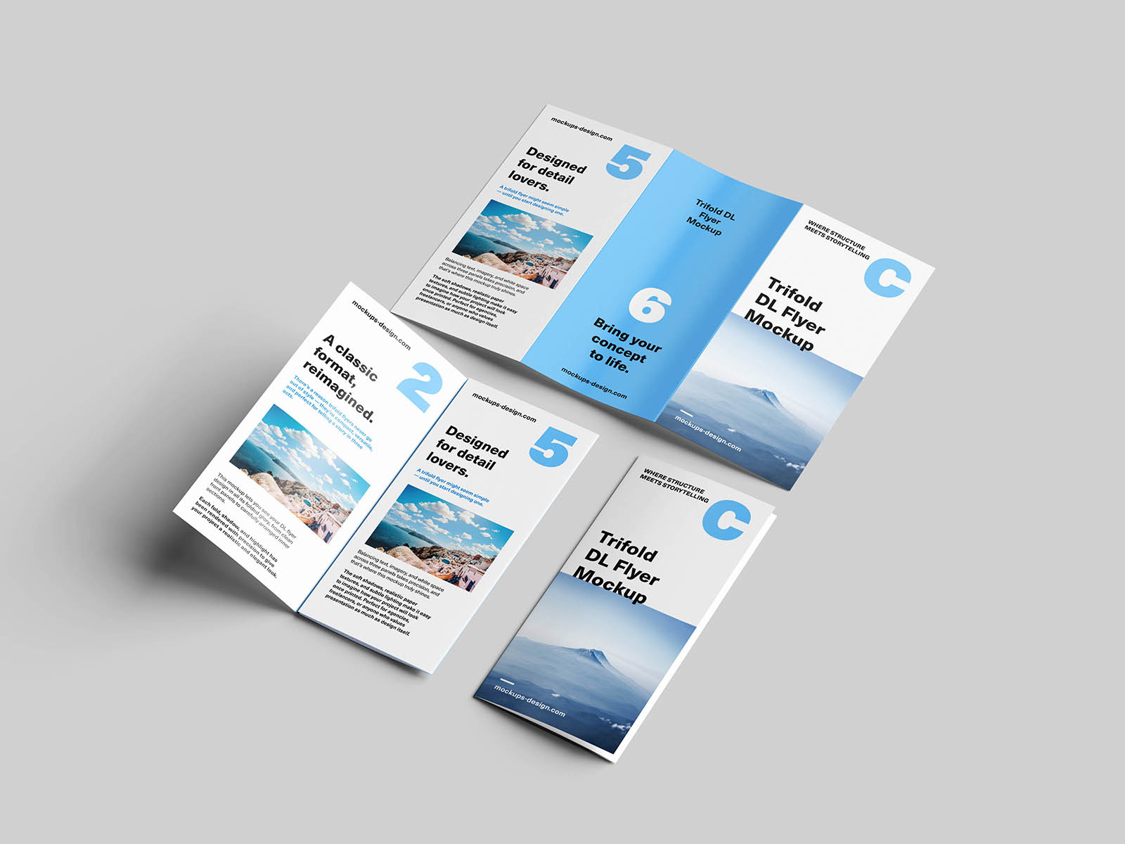 Trifold DL flyer mockup