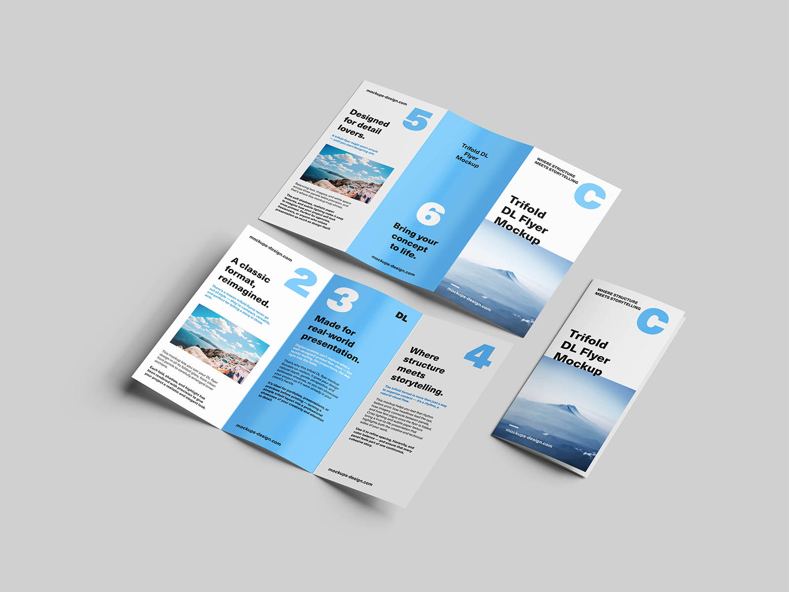 Trifold DL flyer mockup